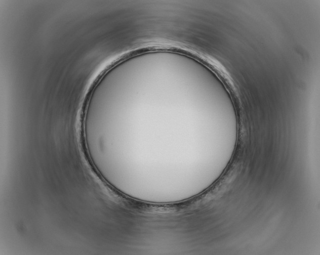 X0000112981183200908270912
