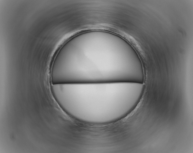 X0000112981184200908270912