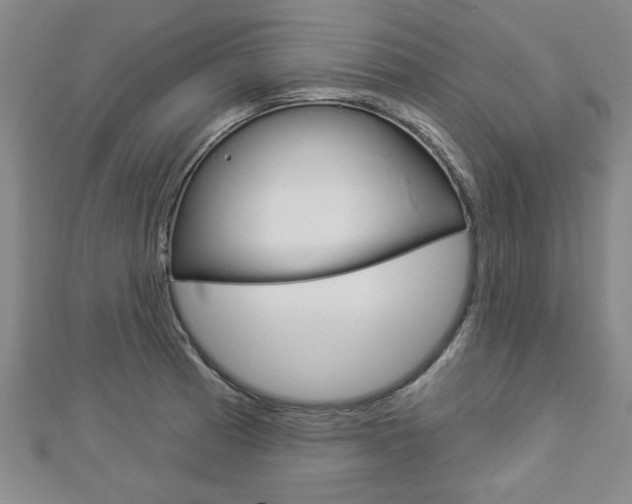 X0000112981185200908270912