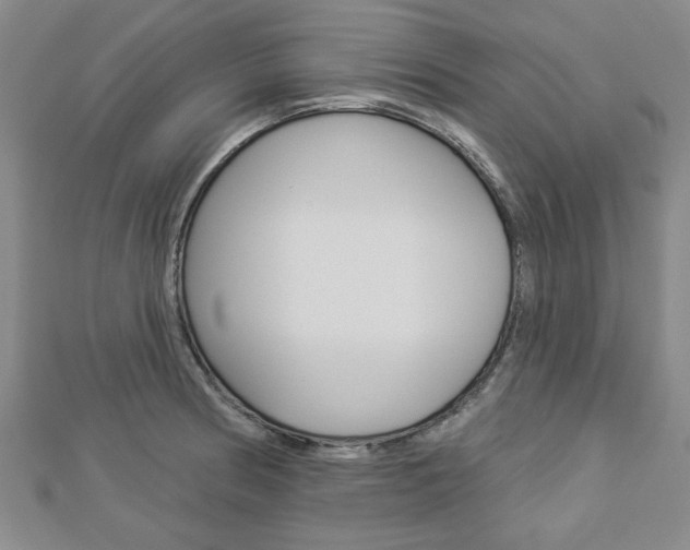 X0000112981186200908270912