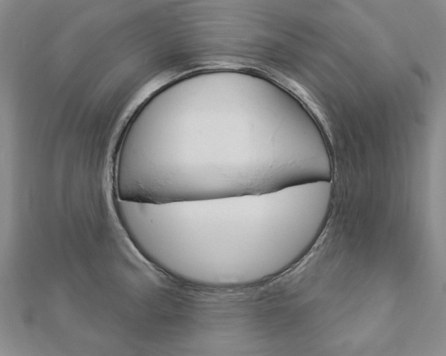 X0000112981187200908270912