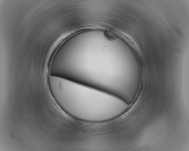 X0000112981188200908270912