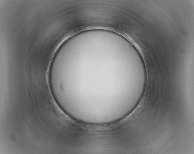 X0000112981189200908270912