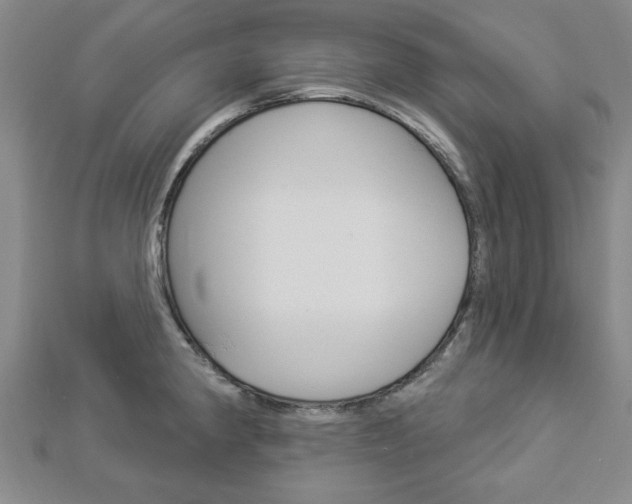 X0000112981190200908270912