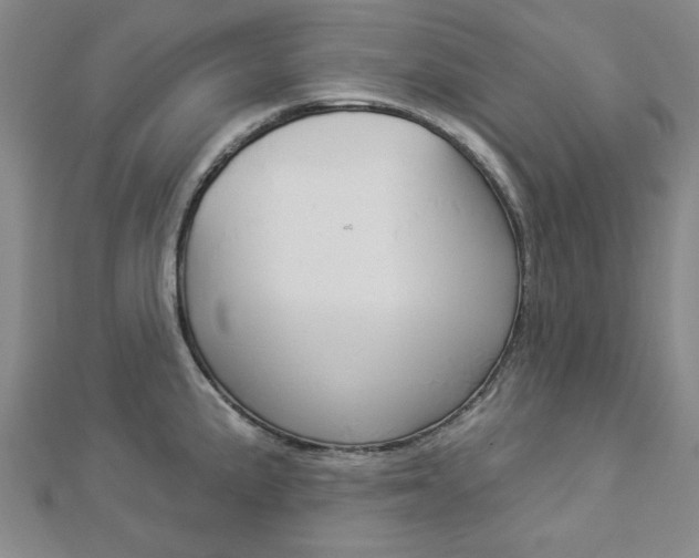 X0000112981191200908270912