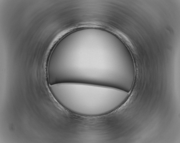 X0000112981192200908270912