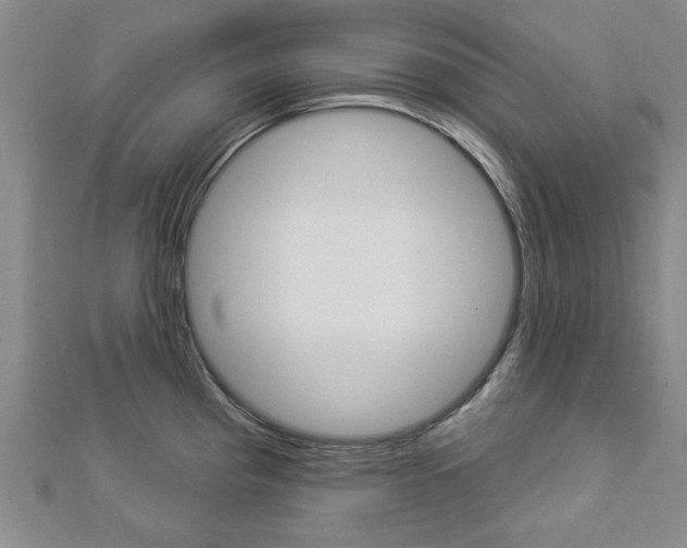 X0000112981193200908270912