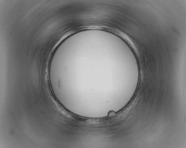 X0000112981194200908270912