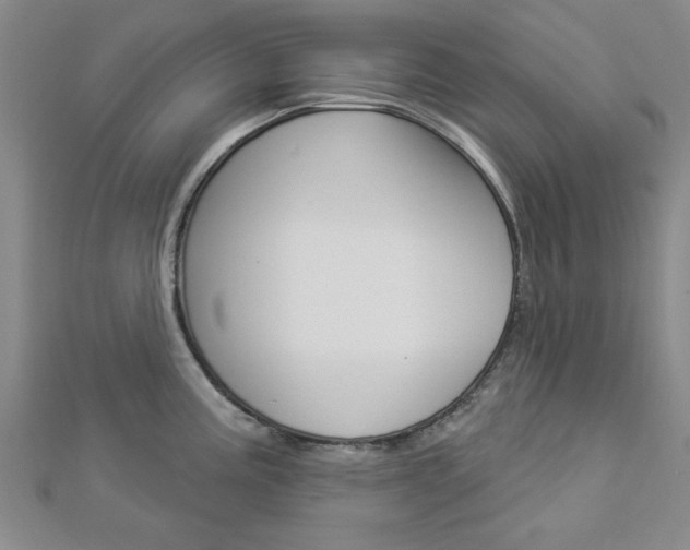 X0000112981195200908270912
