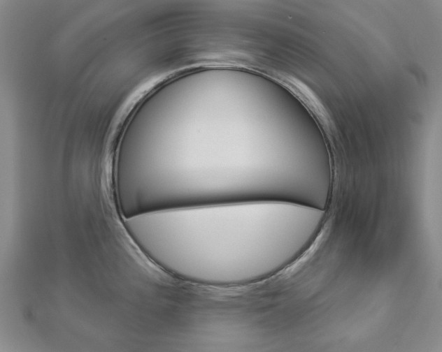 X0000112981196200908270912