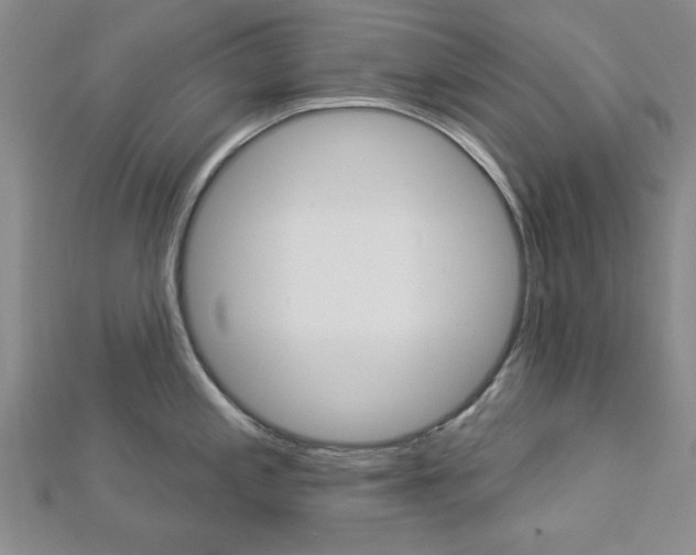X0000112981197200908270912