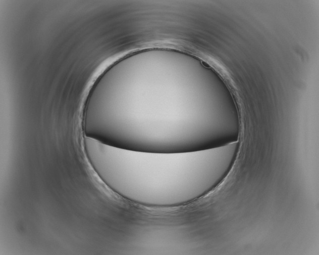 X0000112981200200908270911