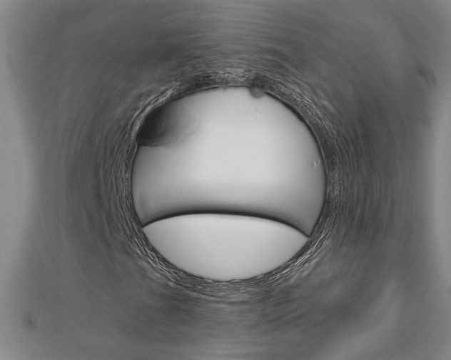 X0000112981201200908270911