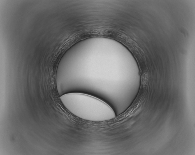 X0000112981202200908270911
