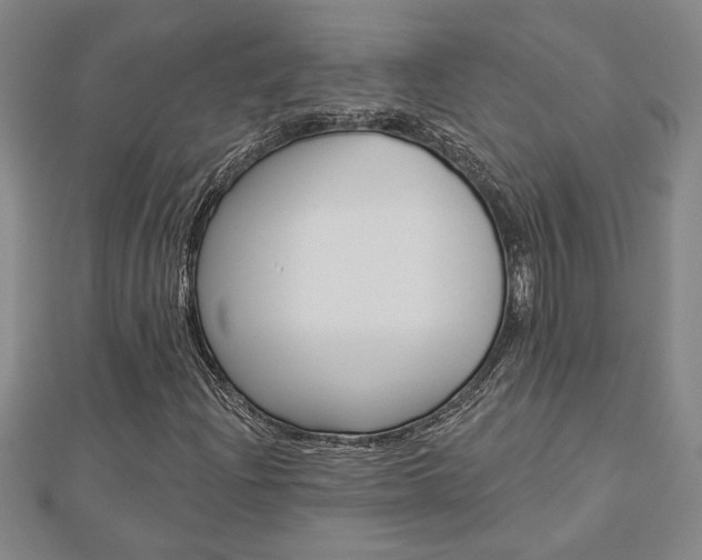 X0000112981204200908270911