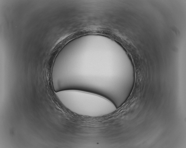 X0000112981206200908270911