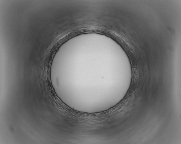 X0000112981207200908270911