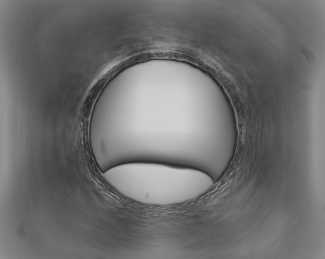 X0000112981208200908270911