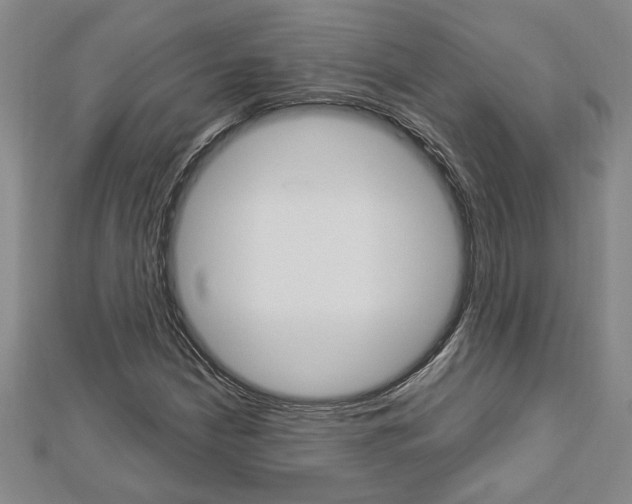 X0000112981210200908270911