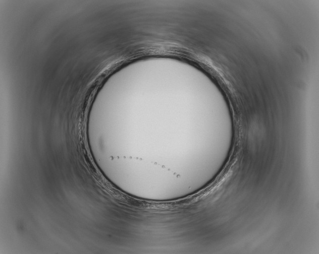 X0000112981211200908270911