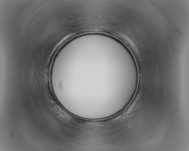 X0000112981212200908270911