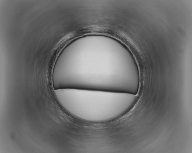 X0000112981213200908270911
