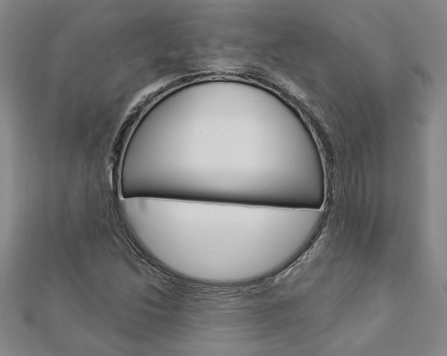 X0000112981214200908270911