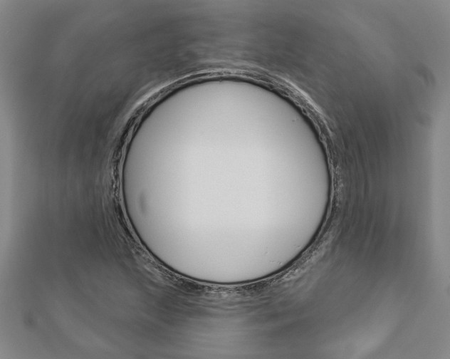 X0000112981215200908270911