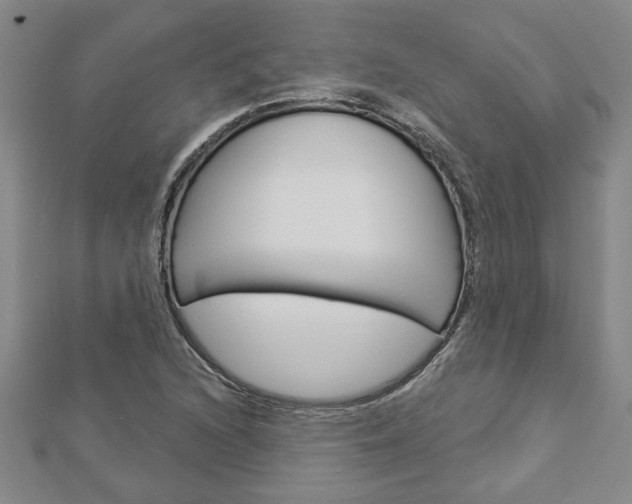 X0000112981216200908270911