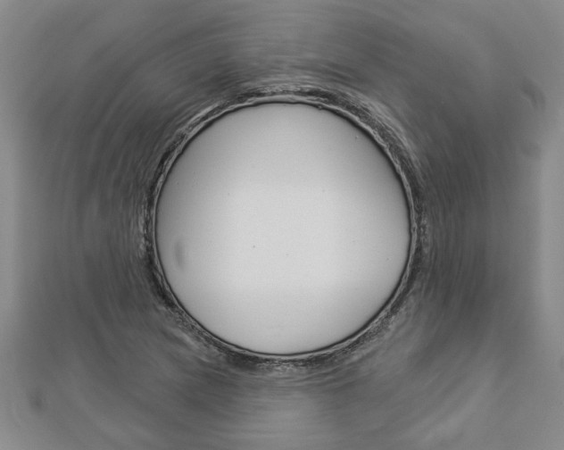 X0000112981217200908270911