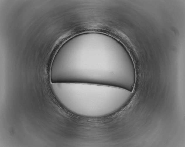 X0000112981218200908270911