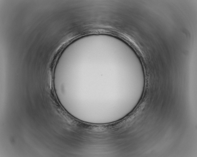 X0000112981219200908270911