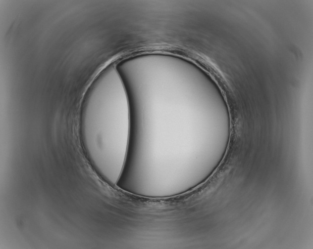 X0000112981220200908270911