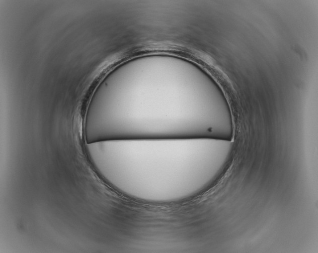 X0000112981221200908270911