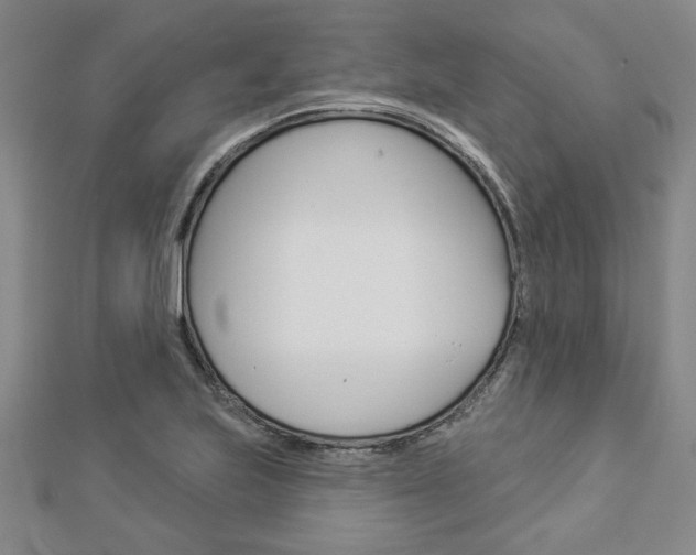 X0000112981223200908270911