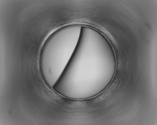 X0000112981224200908270911