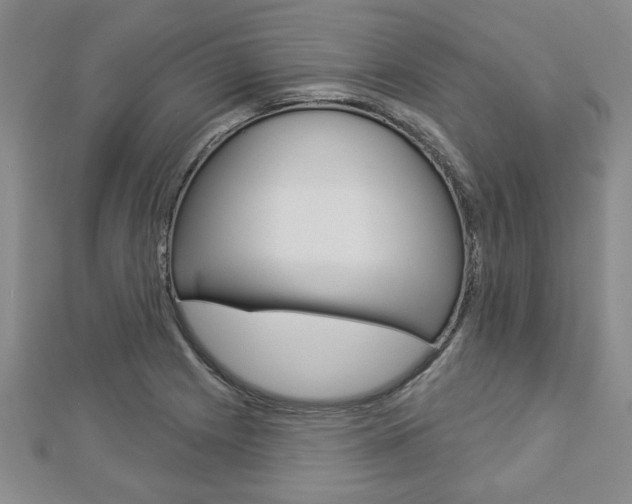 X0000112981225200908270911