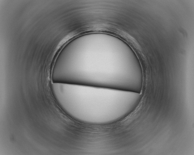 X0000112981226200908270911