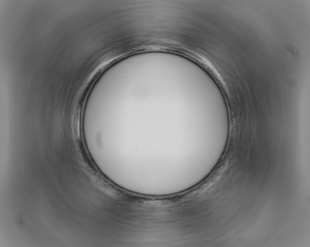 X0000112981227200908270911