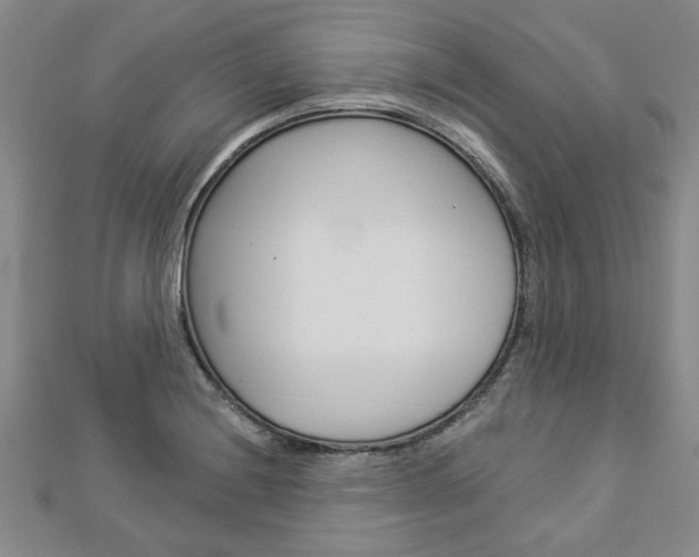 X0000112981228200908270911