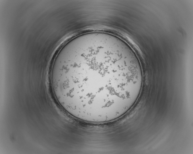 X0000112981229200908270911