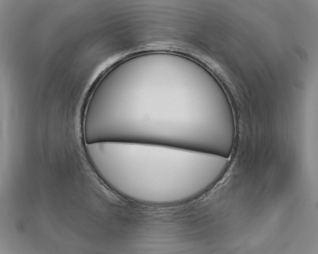 X0000112981230200908270911