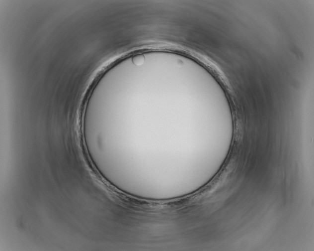 X0000112981231200908270911
