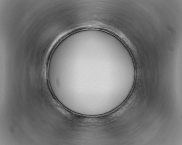 X0000112981232200908270911