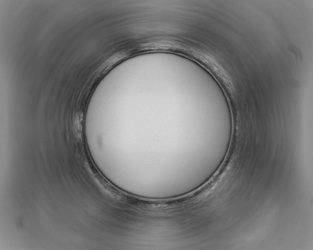 X0000112981233200908270911