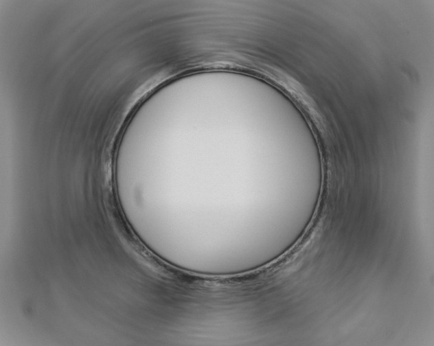 X0000112981234200908270911