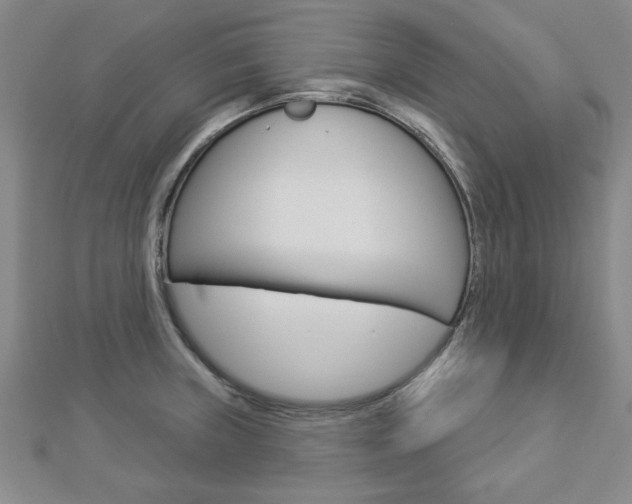 X0000112981235200908270911