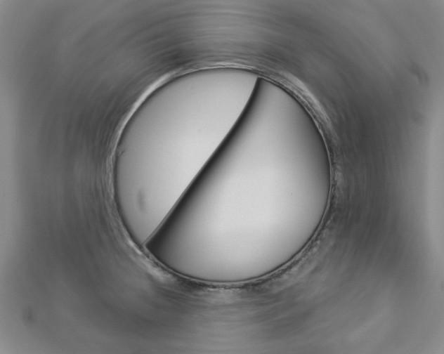 X0000112981236200908270911