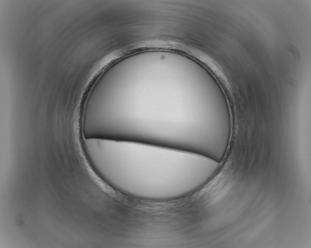 X0000112981237200908270911