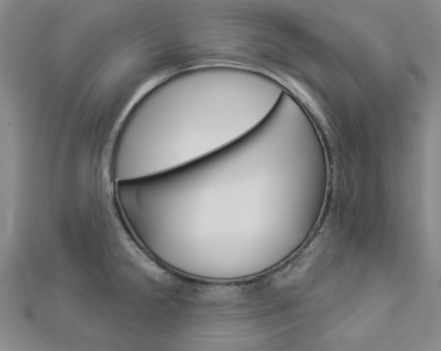 X0000112981238200908270911